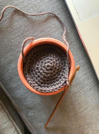 Cactus Crew Crochet Patterns 🤠🌵