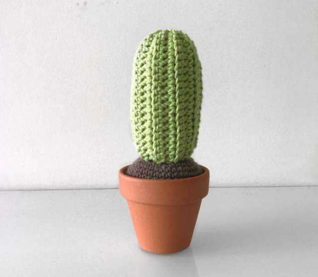 Cactus Crew Crochet Patterns 🤠🌵