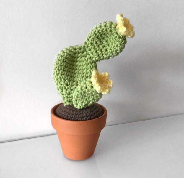 Cactus Crew Crochet Patterns 🤠🌵