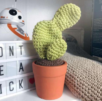 Cactus Crew Crochet Patterns 🤠🌵